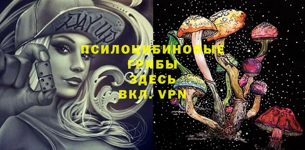 ECSTASY Володарск